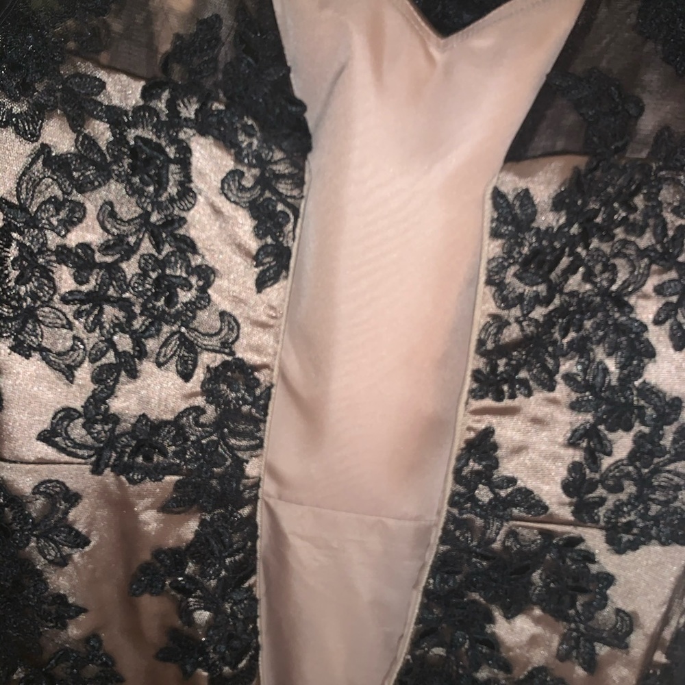 Custom Lace Gown Size 4 Evening/Prom/Pagaent Dress - Picture 6 of 16